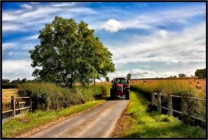 (Photo by Patrick Dalton)